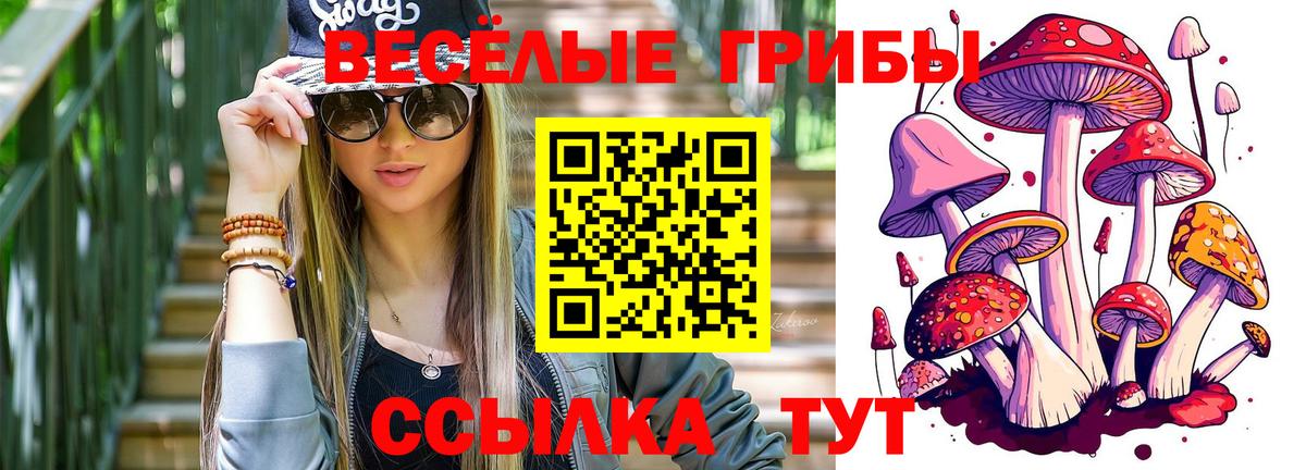 Псилоцибиновые грибы Cubensis Тейково