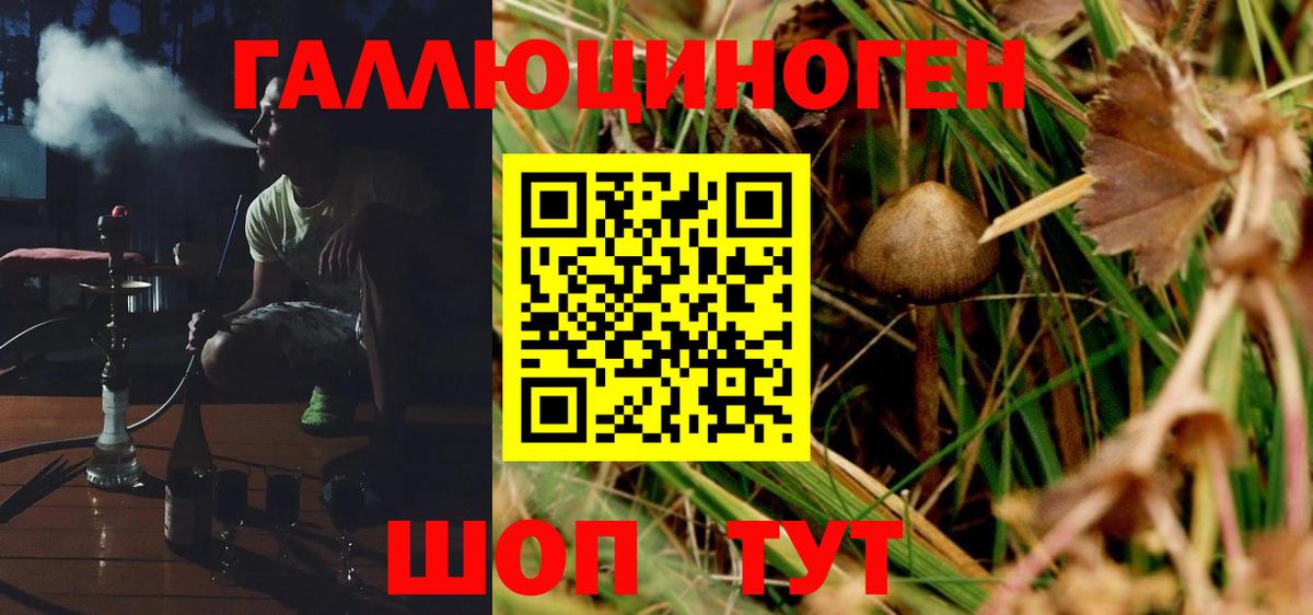 Псилоцибиновые грибы Тейково